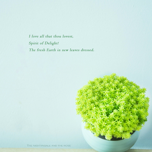 亚洲一区二区三区爆乳四虎
